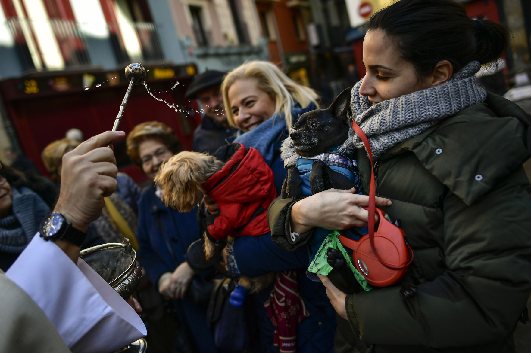 APTOPIX Spain Animals Blessing